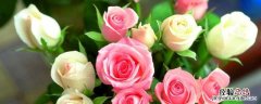 鲜花可以保鲜几天 鲜花能保持几天新鲜
