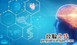 大脑的八个功能分区 大脑的八个功能分区介绍