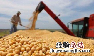 美国大豆种植成本低的原因 为什么美国大豆种植成本低