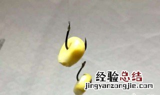 一般鱼饵都是什么成份组成的? 鱼饵料的成分