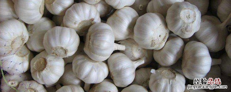 大蒜怎么保存不发芽 新鲜大蒜怎么保存不发芽