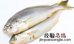 青鱼怎么吃 新鲜青鱼的做法