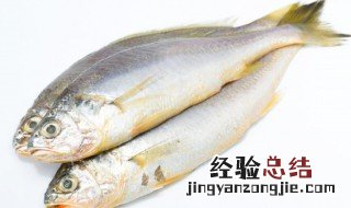 青鱼怎么吃 新鲜青鱼的做法