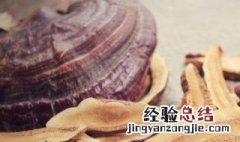 水灵芝的功效与作用 水灵芝的功效与作用是什么