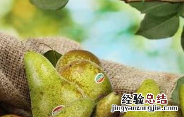 啤梨的功效与作用是什么 啤梨的功效与作用