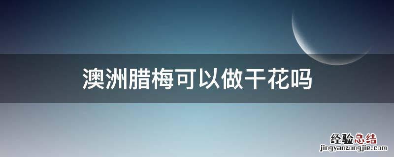 澳洲腊梅可以做干花吗? 澳洲腊梅可以做干花吗