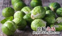 蚝油孢子甘蓝的做法 怎么做蚝油孢子甘蓝