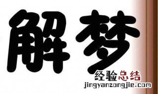 周公解梦梦见下雪