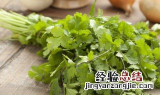 香菜根煮水能减肥吗 香菜根煮水能变轻吗