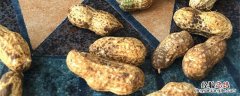 瘪花生和饱满花生的区别 瘪花生和花生的区别