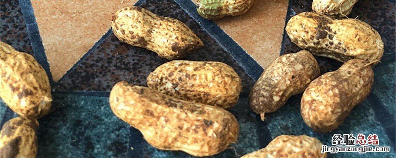 瘪花生和饱满花生的区别 瘪花生和花生的区别