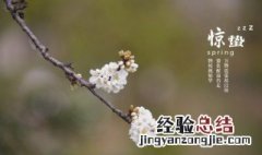 24节气里惊蛰的蛰是什么意思啊 二十四节气里惊蛰的蛰是什么意思