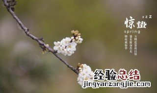 24节气里惊蛰的蛰是什么意思啊 二十四节气里惊蛰的蛰是什么意思