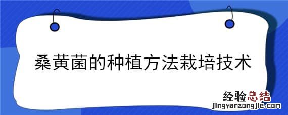 桑黄菌的种植方法栽培技术视频 桑黄菌的种植方法栽培技术