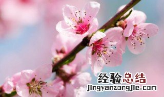 春天的别称 春天的称呼介绍
