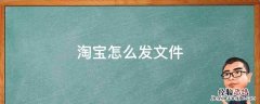 手机淘宝怎么发文件 淘宝怎么发文件