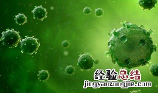 新冠病毒的介绍 有什么症状