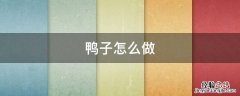 鸭子怎么做 鸭子怎么做好吃啤酒鸭的做法