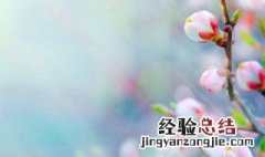 春天的节气有哪些? 总共有几个呢