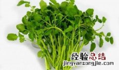 豆瓣菜怎么吃 豆瓣菜食用方法介绍