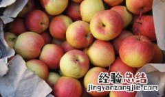 红肖梨是什么梨 红肖梨资料有哪些