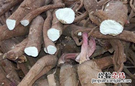 白芷种子价格及种植方法图片 白芷种子价格及种植方法