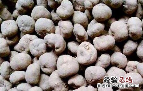 元胡种子价格及种植方法