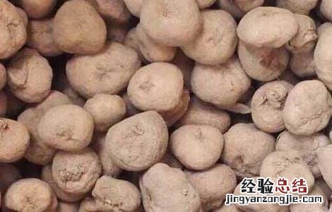 元胡种子价格及种植方法