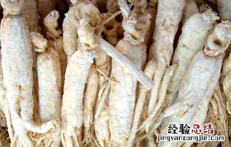 千年人参真的存在吗图片 千年人参真的存在吗