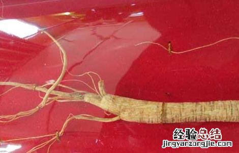 真假人参怎么辨别才好呢 真假人参怎么辨别才好