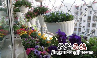 养花的土什么样的好 养花买怎样的土