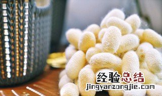 桑蚕几月份最好 桑蚕什么季节才有