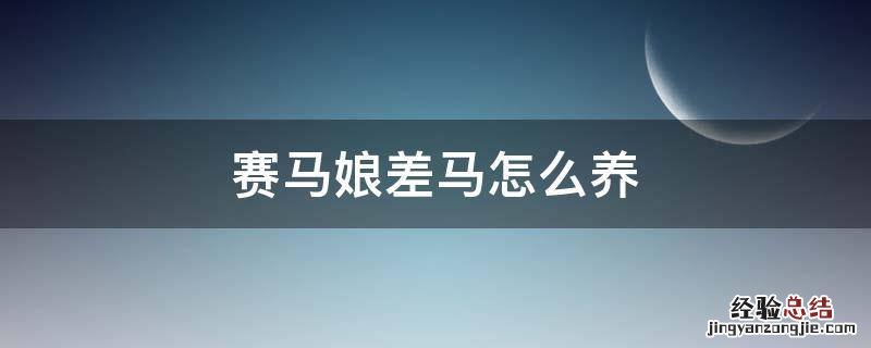 赛马娘差马养什么属性 赛马娘差马怎么养