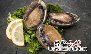 鲍鱼怎么养活怎么保存 生的活的鲍鱼怎么保存方法