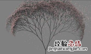 python画樱花树代码 具体代码介绍