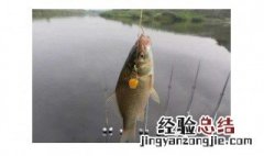 冬天钓鲫鱼气压多少适合钓鱼 了解一下