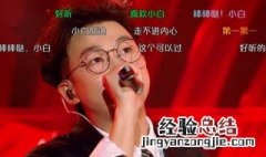 白举纲奇袭谁 了解一下这是哪个节目