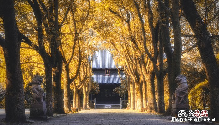 文学经典的特征和意义 试论文学经典的特征和意义