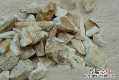 龙骨是什么骨头 龙骨
