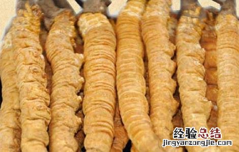 冬虫夏草是虫还是草 冬虫夏草是虫还是草蚂蚁森林
