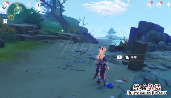 原神海螺哪里找 原神海螺在哪里收集