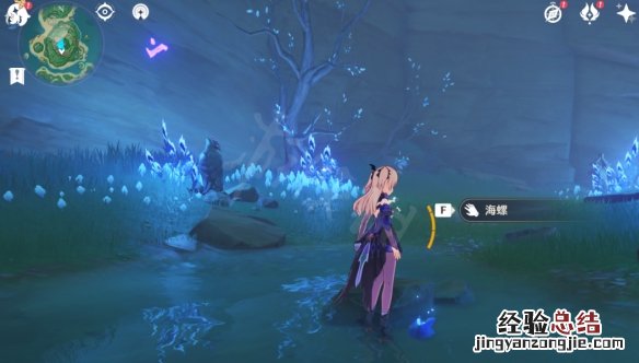 原神海螺哪里找 原神海螺在哪里收集