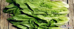 油麦菜为什么要用盐水泡 油麦菜泡水里能放多久