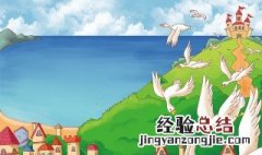 天鹅吃啥食物 野天鹅吃什么食物