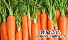 胡萝卜可以隔夜吃吗 熟的胡萝卜可以隔夜吃吗
