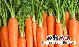 胡萝卜可以隔夜吃吗 熟的胡萝卜可以隔夜吃吗