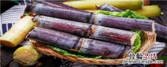 甘蔗栽培技术和施肥 甘蔗种植管理与施肥