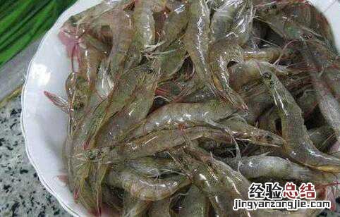 海虾和河虾有哪些区别 海虾和河虾有哪些区别图解
