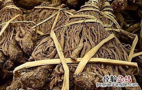 当归产地在哪里 当归产于哪里