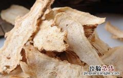 当归产地在哪里 当归产于哪里